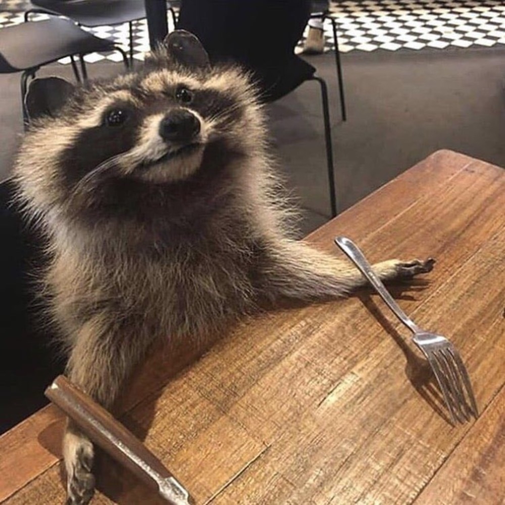 Meet your Posher, Yahira